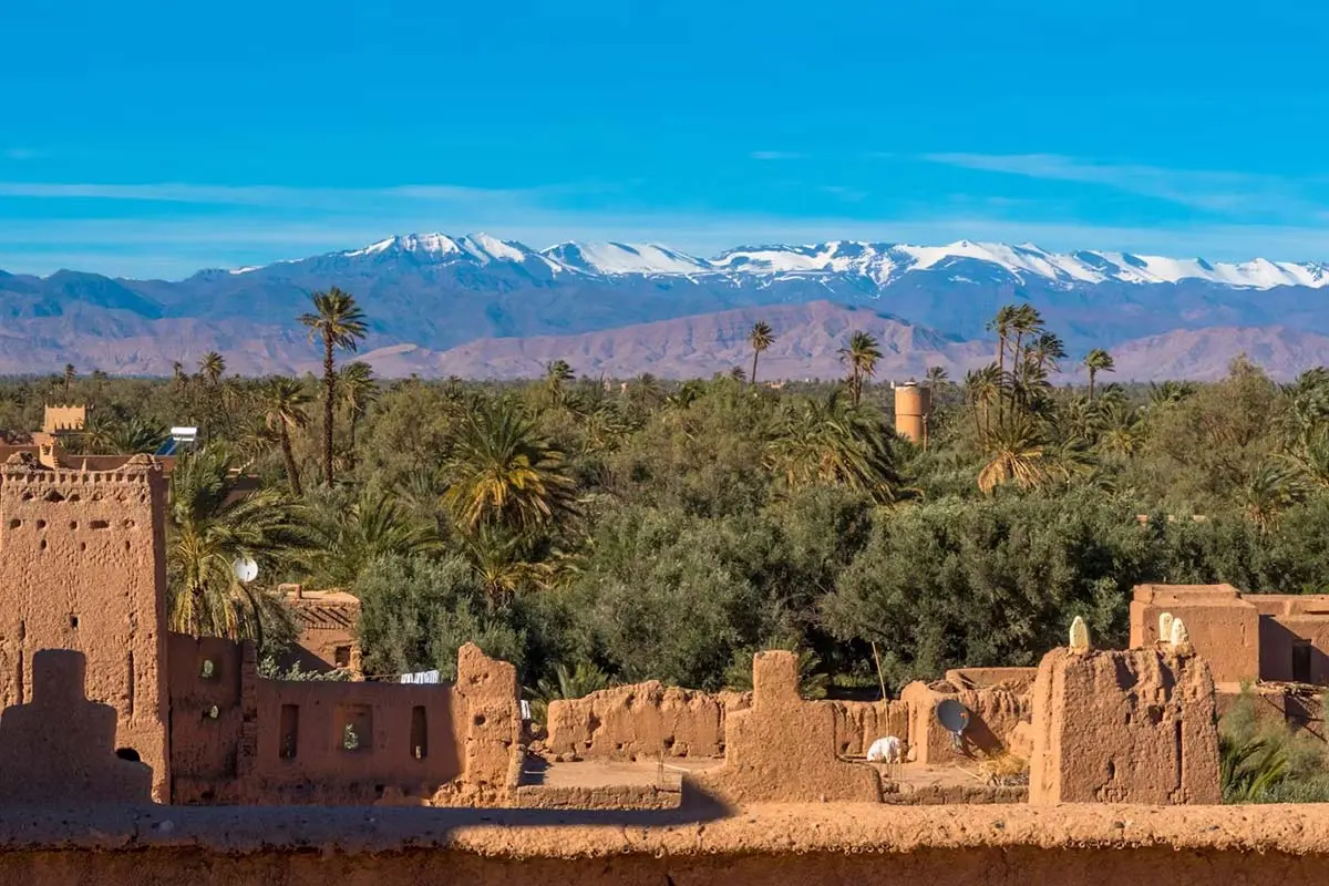 Skoura palm grove kasbah roses Morocco
